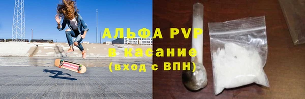 гашик Богданович