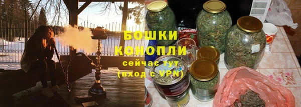 гашик Богданович