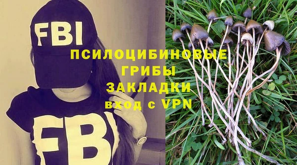 гашик Богданович