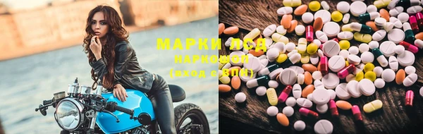 гашик Богданович