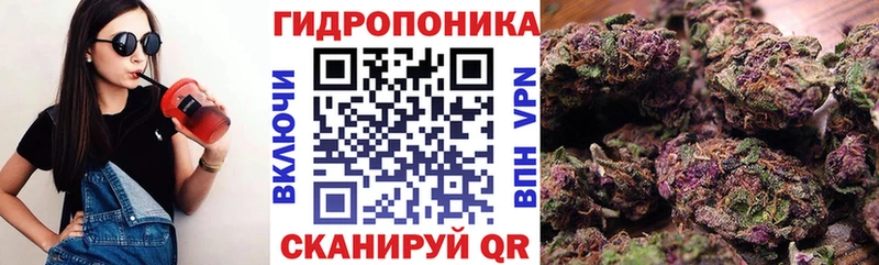 МЕГА ONION  Торжок  МАРИХУАНА индика 